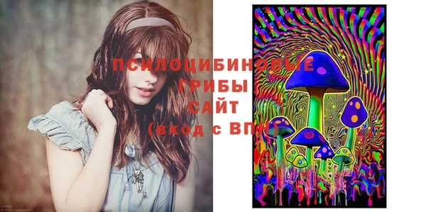 гидропоника Пересвет