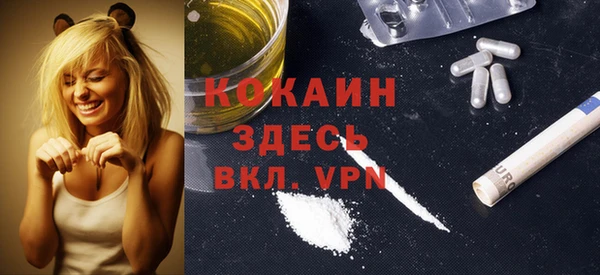 прущий лед Пестово