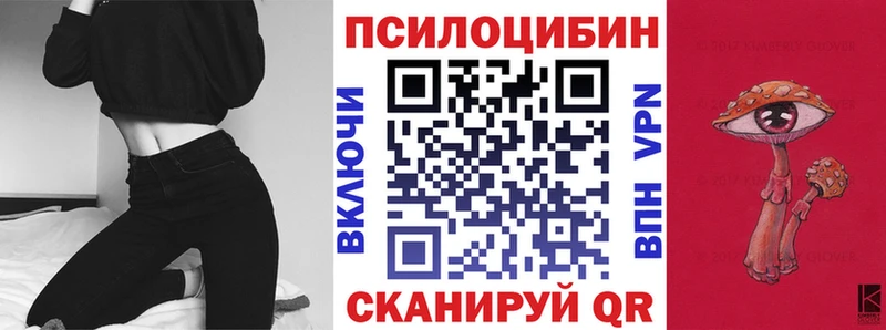 наркотики Миасс Галлюциногенные грибы Psilocybe