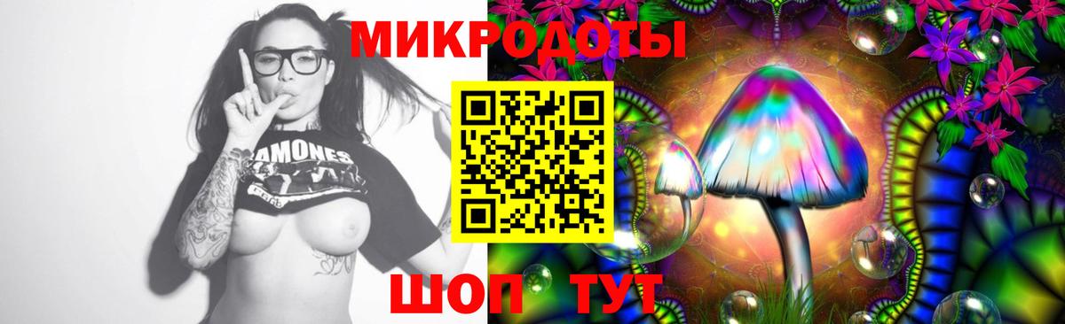 сколько стоит  Миасс  Псилоцибиновые грибы прущие грибы  Псилоцибиновые грибы мухоморы 