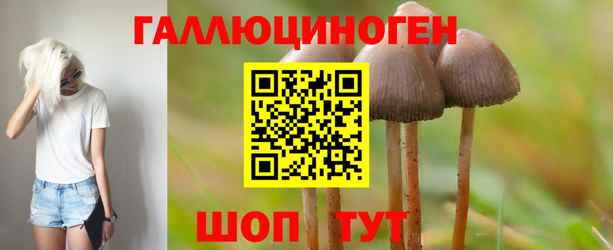 Псилоцибиновые грибы Cubensis Миасс